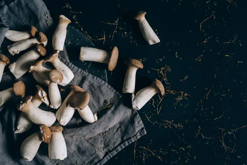 Thick stems of King Oyster mushrooms on a cutting board